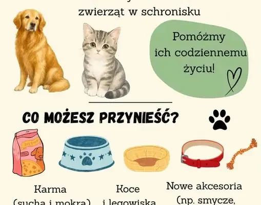 Szkolne Koło Wolontariatu organizuje zbiórkę dla schroniska