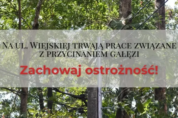 Prace przy liniach energetycznych w Gogołowej – możliwe utrudnienia i wyłączenia prądu