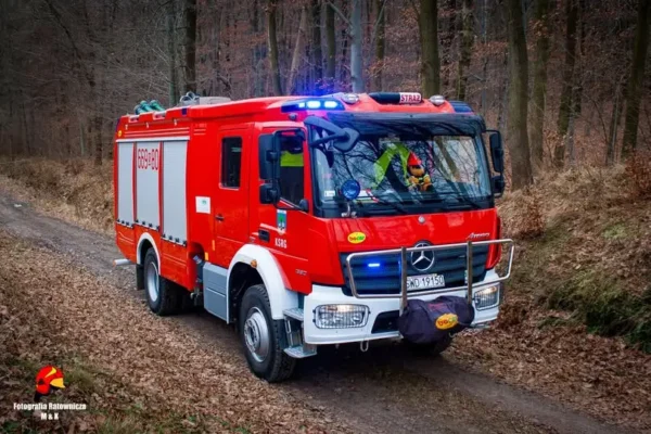 Poszukiwania zaginionej osoby w lesie pod Lubomią. Na szczęście zakończyły się szczęśliwie