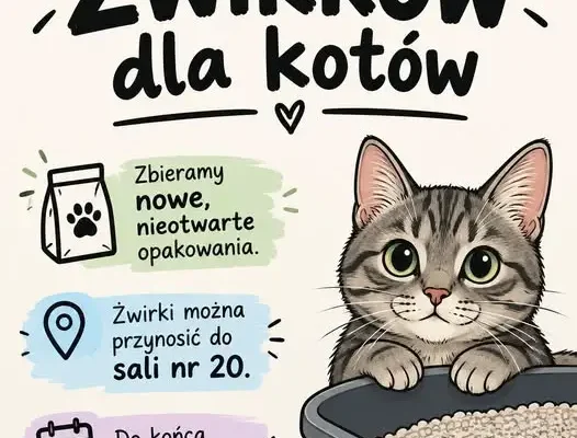 Uczniowie z Radlina zbierają żwirek dla kotów – akcja trwa do końca października