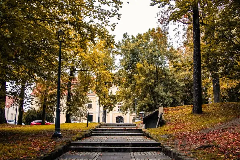 Wodzisław Śląski: ostatni tydzień października pełen wydarzeń – kino, teatr, aqua aerobik i Noc Duchów